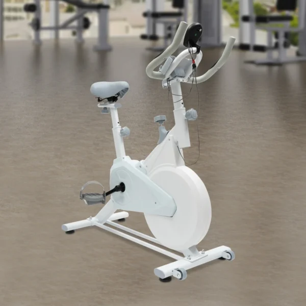 Indoor Fitness Bike, White Exercise Bike ,Wool Pad Silent Braking, Adjustable Seat/Handle, LCD Display, 80kg Capacity - Image 4