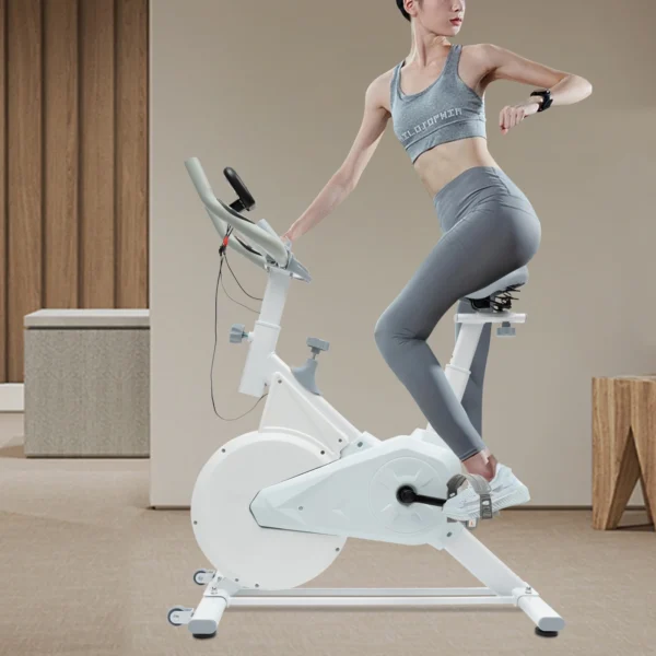 Indoor Fitness Bike, White Exercise Bike ,Wool Pad Silent Braking, Adjustable Seat/Handle, LCD Display, 80kg Capacity