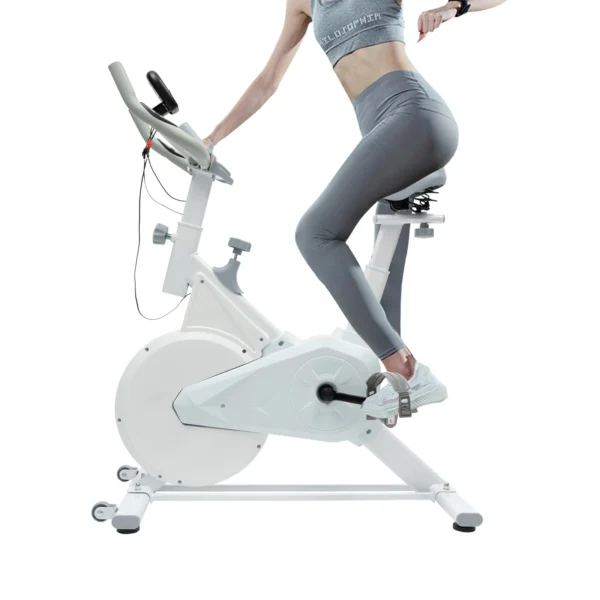 Indoor Fitness Bike, White Exercise Bike ,Wool Pad Silent Braking, Adjustable Seat/Handle, LCD Display, 80kg Capacity - Image 6